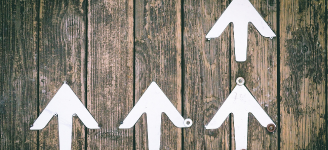 Growth or dividend-reinvestment plan: Which is better?