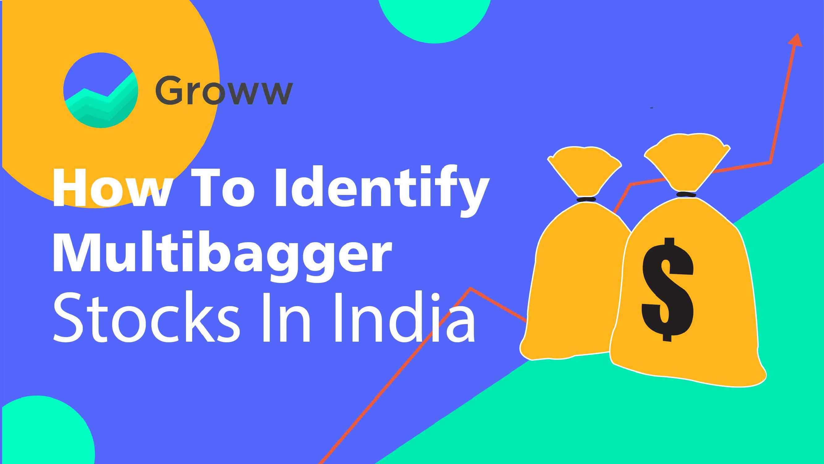 How to Identify Multibagger Stocks in India