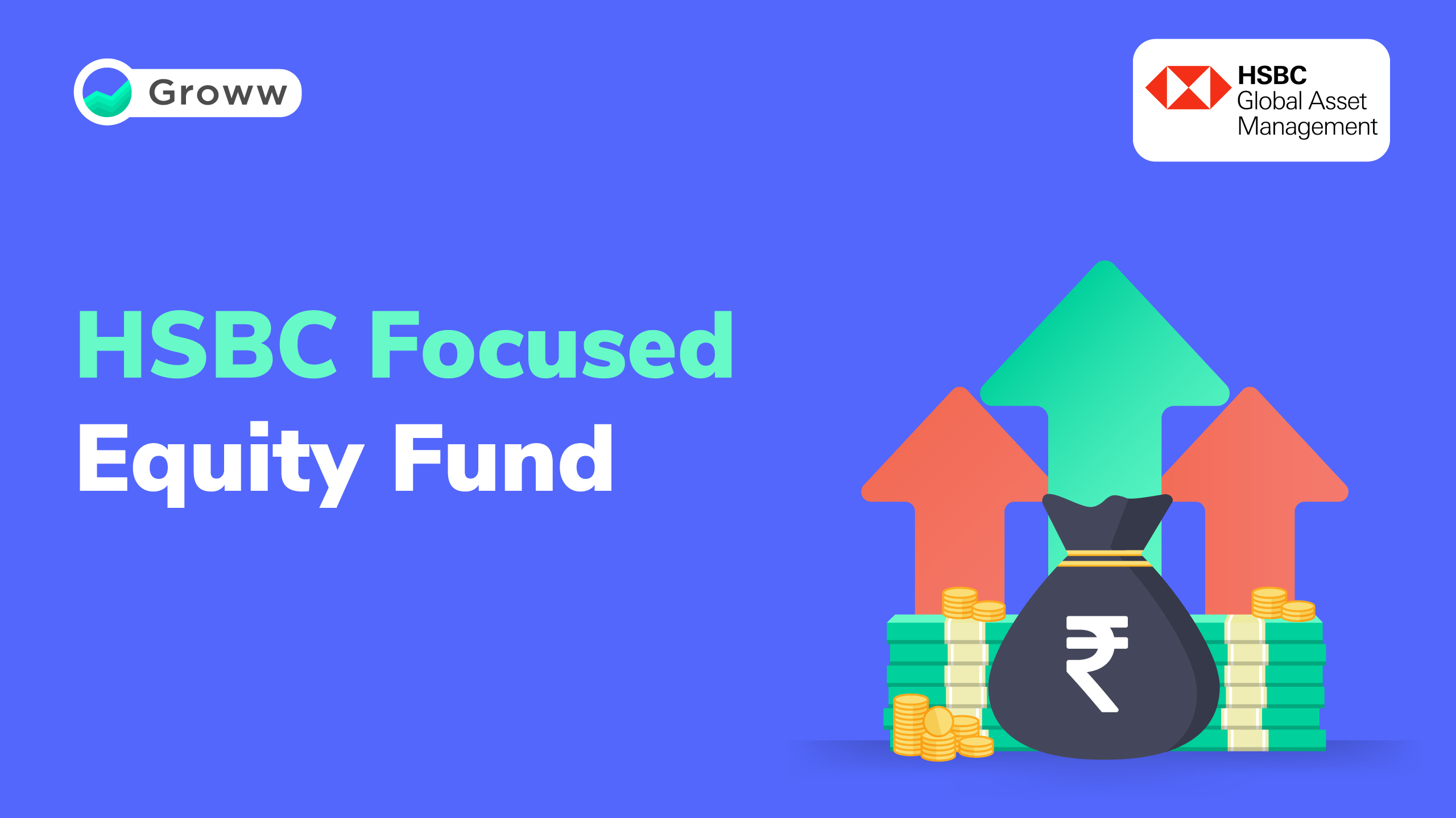 HSBC Focused Equity Fund