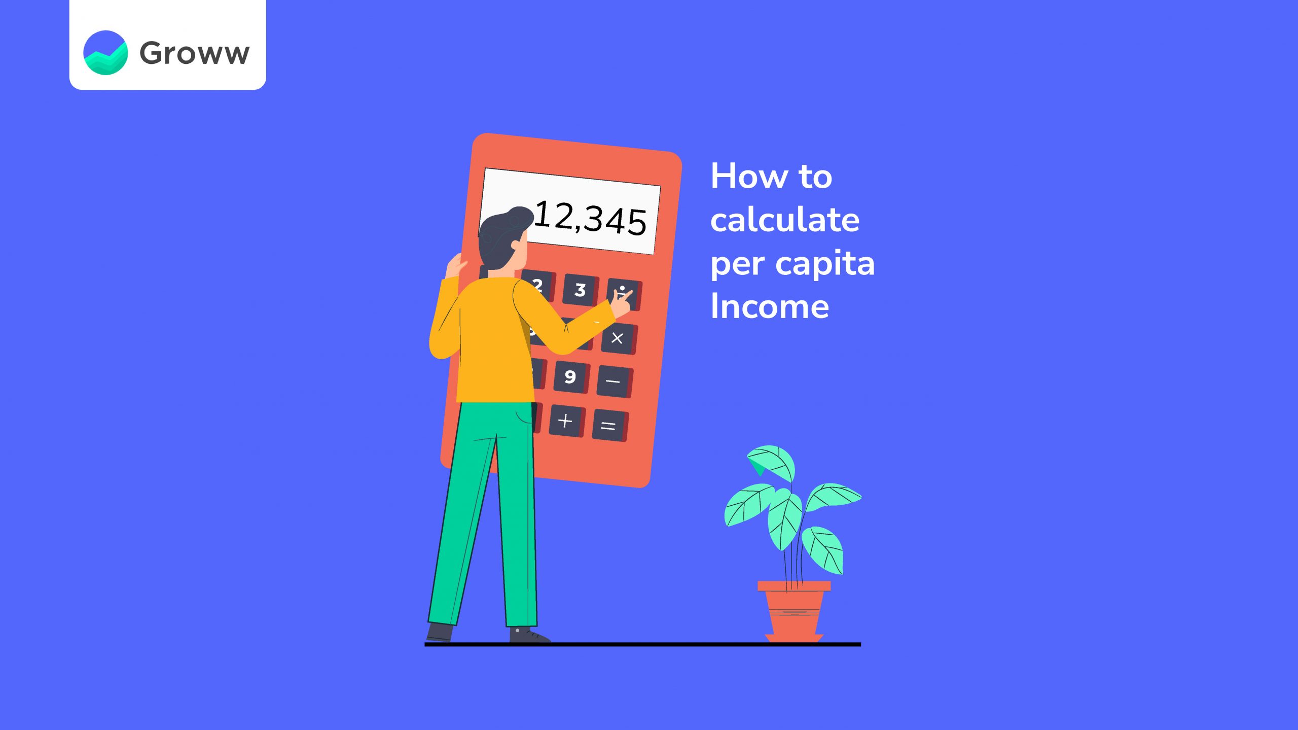 Define The Term Per Capita Income Class 10