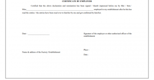 EPF Form 2 - Structure for Part-A & Part-B | How to Fill e-Nomination?